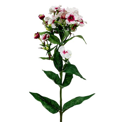 Floristik24 Płomienny kwiat biały 72 cm