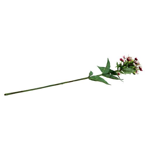 Floristik24 Płomienny kwiat biały 72 cm