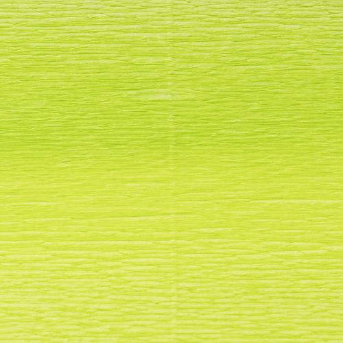 Produkt Bibuła Kwiaciarnia Maj zielona 50x250cm