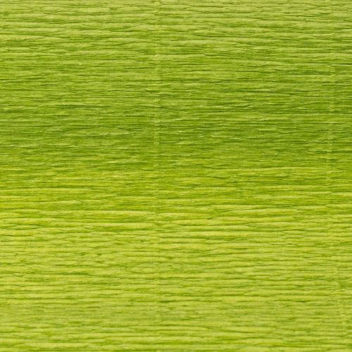 Produkt Papier florystyczny krepowy trawiasty zielony 50x250cm