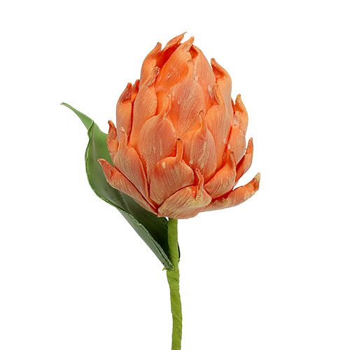 Karczoch piankowy pomarańczowy 14cm L28cm 1szt.