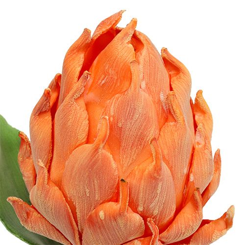 Karczoch piankowy pomarańczowy 14cm L28cm 1szt.