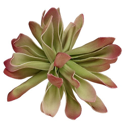Floristik24 Kwiatek piankowy Ø12cm Zielony/Red 6szt.