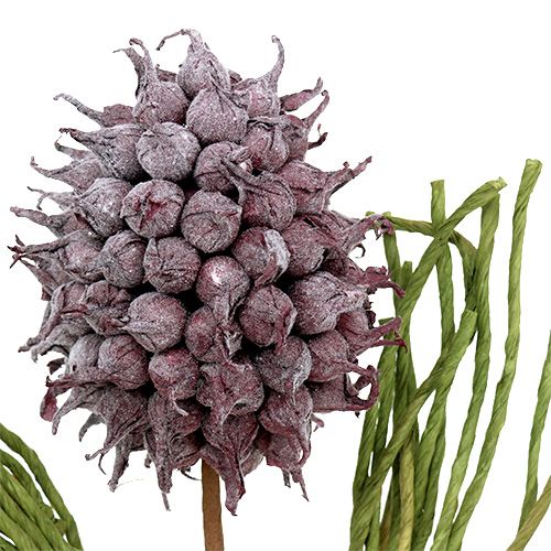 Floristik24 Piankowe Kwiaty Sztuczne Fioletowe L65cm