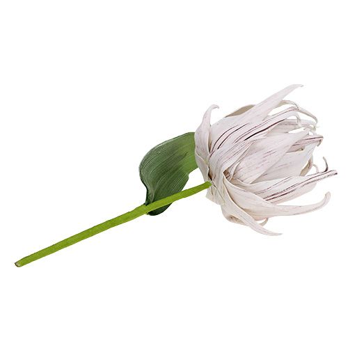 Floristik24 Kwiatek piankowy biały, fioletowy 12cm L30cm 1szt.