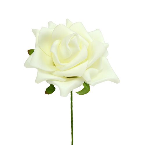 Floristik24 Róża piankowa Ø7,5cm kremowa 18 szt