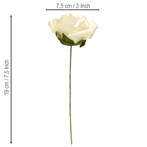 Produkt Róże piankowe z kwiatami łodygowymi, krem piankowy Ø7,5cm 18 szt.
