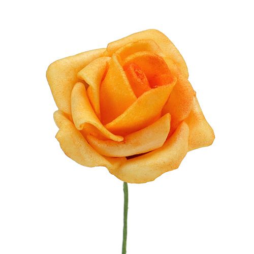 Floristik24 Róża piankowa Ø 3,5cm Morela 48 szt