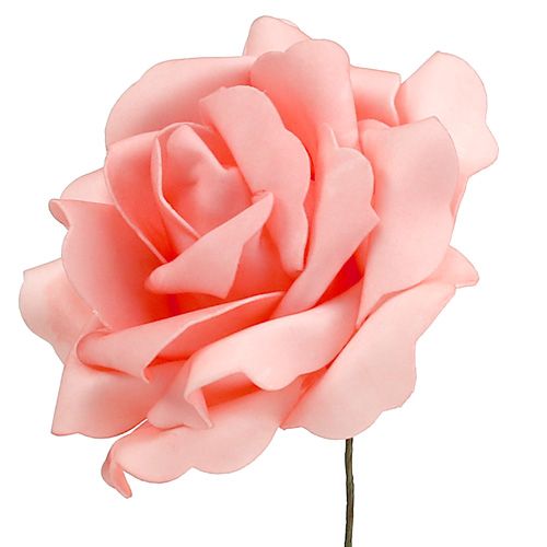 Floristik24 Piankowa Róża Piankowa Róża Łosoś Ø15cm 4 szt
