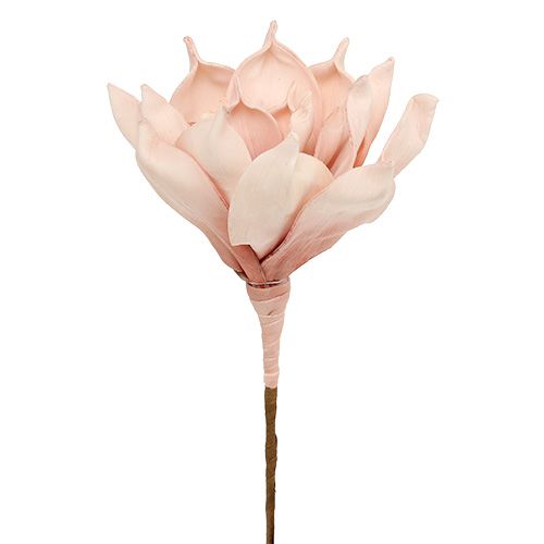 Floristik24 Kwiat piankowy Magnolia Różowy Ø15cm L65cm