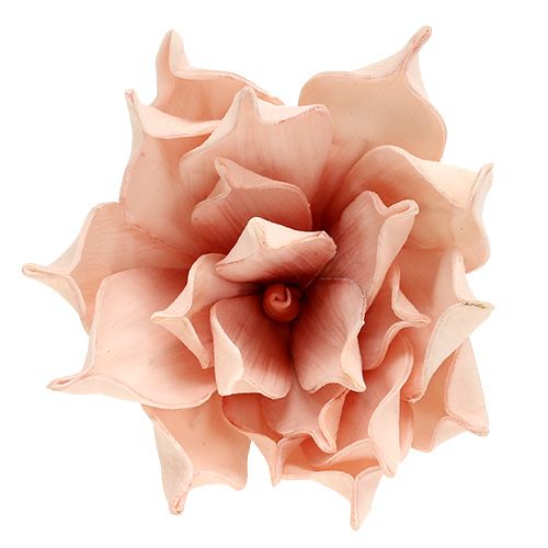 Floristik24 Kwiat piankowy Magnolia Różowy Ø15cm L65cm