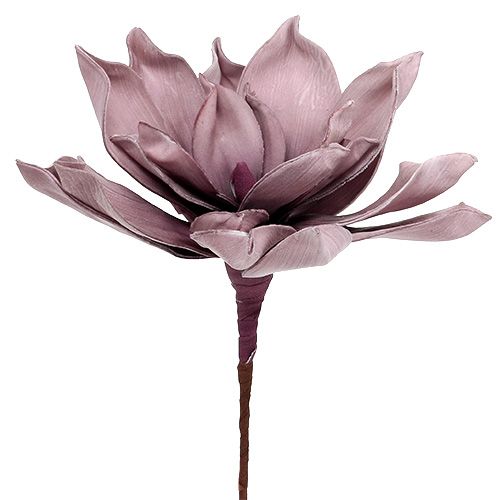Floristik24 Kwiat z pianki Magnolia Berry Ø15cm L67cm