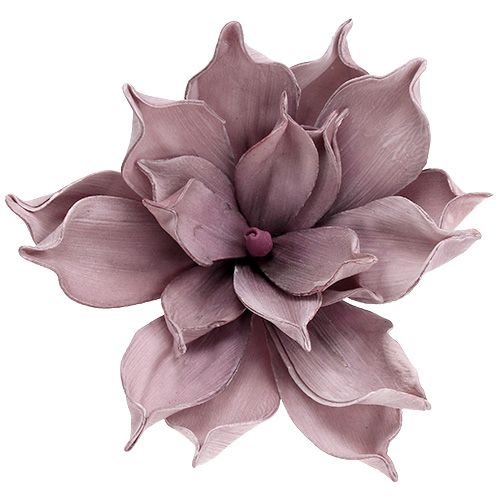 Floristik24 Kwiat z pianki Magnolia Berry Ø15cm L67cm