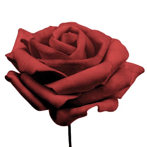 Produkt Róża piankowa czerwona Ø10cm 8 szt