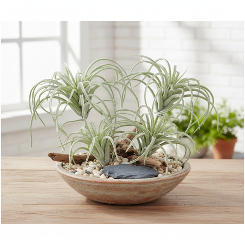 Produkt Tillandsia sukulent sztuczne rośliny zielone 13cm