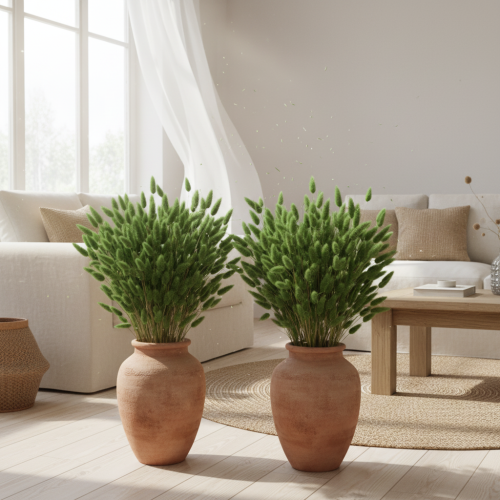 Produkt Suszona trawa Lagurus (zając) 65-70 cm 100 g