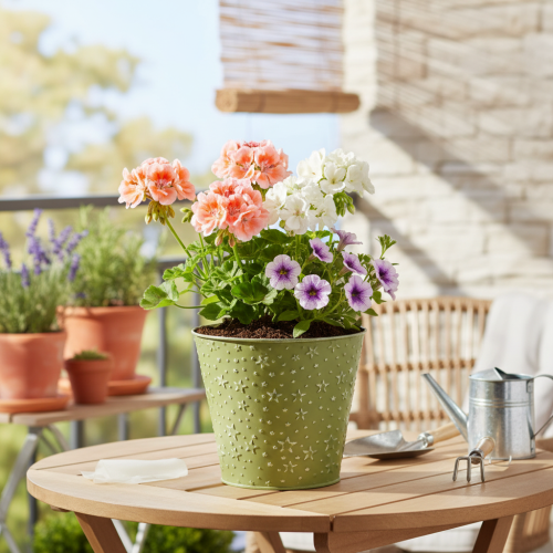 Produkt Doniczka metalowa, gwiazdki, zielono-srebrna, Ø16cm