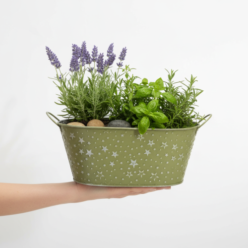 Produkt Miska metalowa owalna z gwiazdkami i uchwytami, zielona, 31×16 cm, wys. 12,5 cm