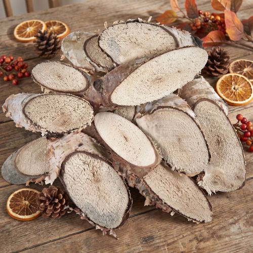 Plastry brzozy owalne plastry brzozy 4-9cm 450g | Floristik24.pl