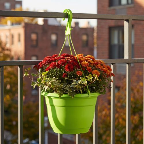 Kosz wiszący 25cm zielony | Floristik24.pl