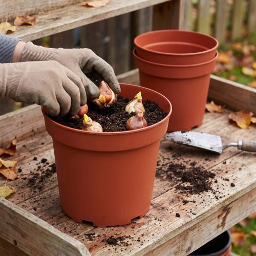 Doniczka plastikowa Ø29cm 10szt | Floristik24.pl