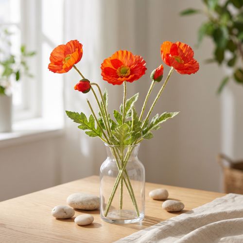 Mak pomarańczowy 60cm 3szt | Floristik24.pl
