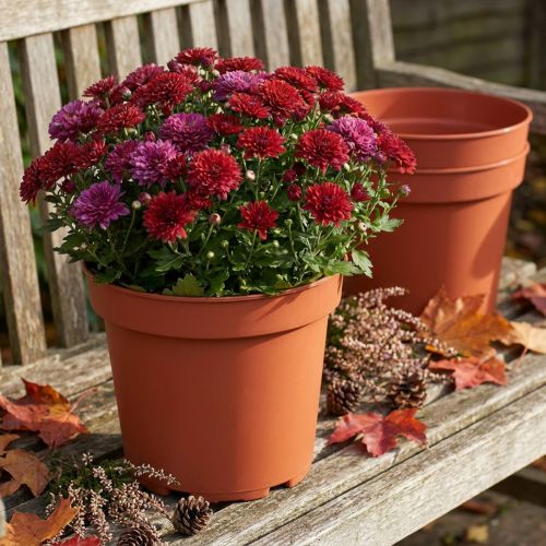 Doniczka plastikowa Ø23cm 10szt | Floristik24.pl