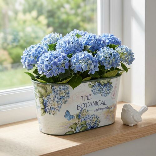 Miska na kwiaty hortensje owalna miska plastikowa 21,5×12,5cm W11cm | Floristik24.pl