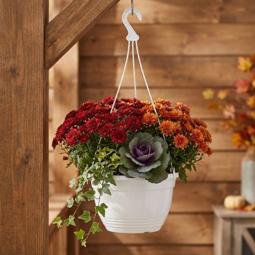 Kosz wiszący Ø30cm biały | Floristik24.pl