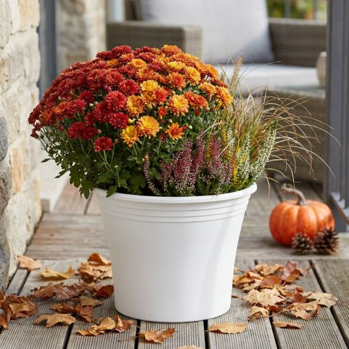 Doniczka plastikowa „Irys” biała Ø29cm W24cm 1 szt | Floristik24.pl