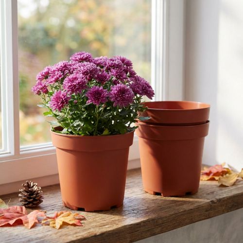 Doniczka plastikowa Ø17cm 10szt | Floristik24.pl