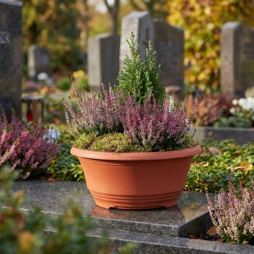 Plastikowa doniczka Ø20cm terakota 5szt. | Floristik24.pl