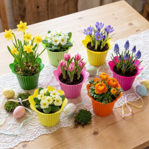 Plastikowe kwiaty doniczkowe Ø12cm 25 szt | Floristik24.pl