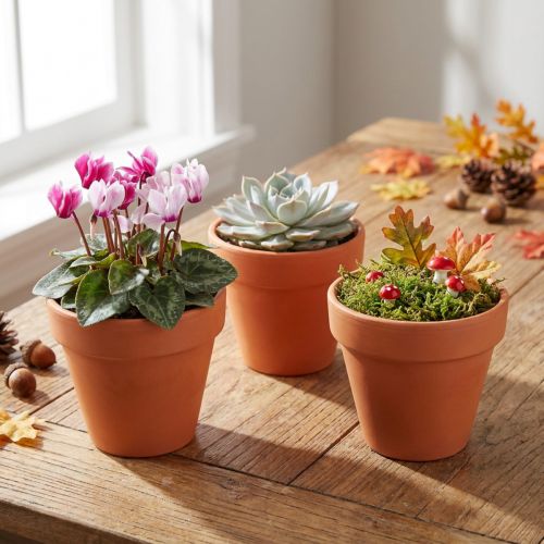 Doniczki gliniane Ø6cm wys. 5cm 10szt | Floristik24.pl