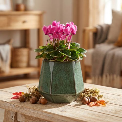 Doniczka ceramiczna zielona sześciokątna Ø10cm W9cm | Floristik24.pl