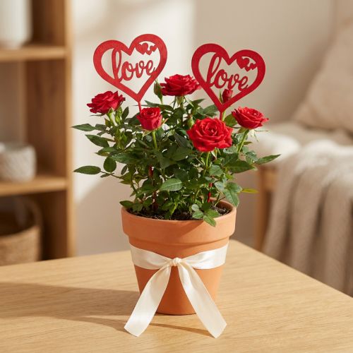 Wtyczka kwiatowa serce czerwona drewniana dekoracyjna wtyczka Love 7cm 12szt | Floristik24.pl