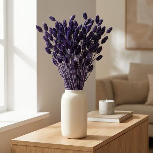 Produkt Suszona trawa ozdobna Phalaris Violet 50-55cm 100g