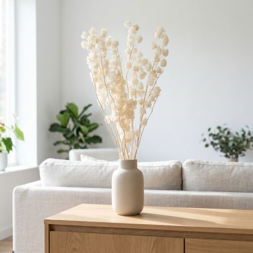Miechunka suszona bielona, dekoracja lampionu Nicandra 75-80cm 100g | Floristik24.pl