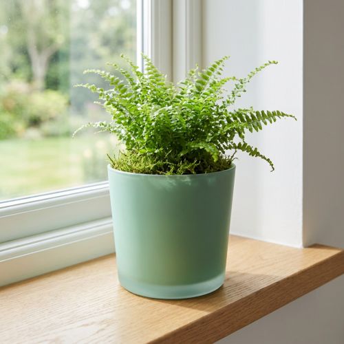 Szklana doniczka zielona sadzarka szklana wanna Ø11.5cm H11cm | Floristik24.pl