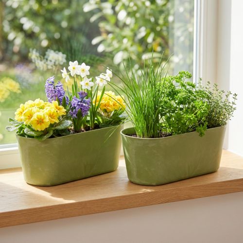 Miska na rośliny owalna zielona miska plastikowa 27×11×10cm 3szt | Floristik24.pl