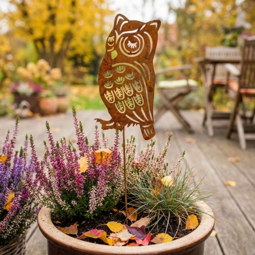 Produkt Kołek ogrodowy rdzawa sowa metalowa patynowana zaślepka 19cm