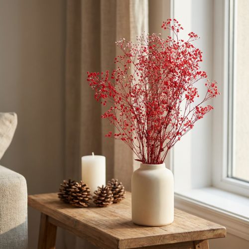 Gypsophila Gypsophila suszone kwiaty czerwone 50cm 55g | Floristik24.pl