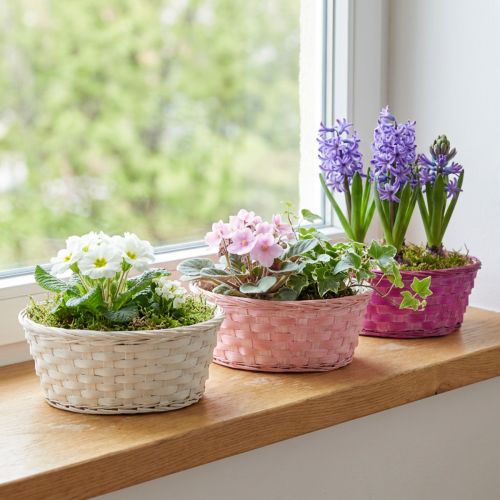 Kosz na chipsy okrągły fioletowy/biały/różowy Ø25cm 6 szt | Floristik24.pl