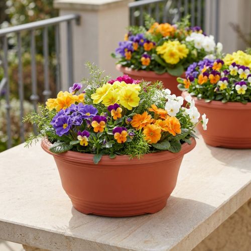 Miska plastikowa Ø27cm okrągła terakota 5szt | Floristik24.pl