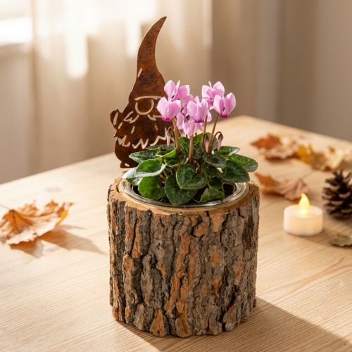 Produkt Doniczka z kory drewnianej krasnal rdzawy wys. 24 cm