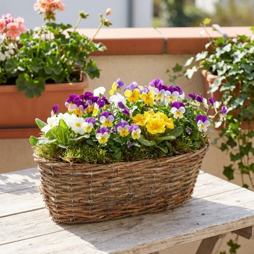 Owalny kosz do sadzenia, wzór winorośli, naturalna taca do sadzenia, długość 30 cm | Floristik24.pl