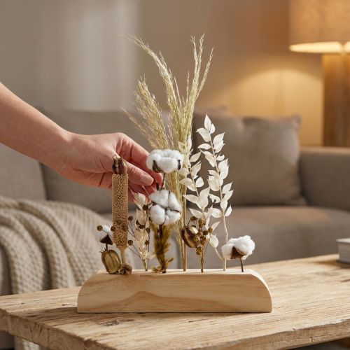 Suszone kwiaty kwietnik Suszone kwiaty drążek drewniany 25cm | Floristik24.pl