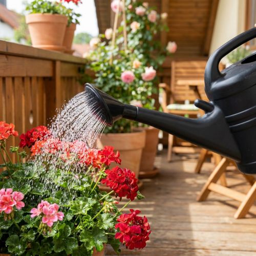 Konewka w sprayu czarna 10l | Floristik24.pl