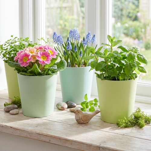 Doniczka papierowa, skrytka, doniczka niebieska/zielona Ø11cm W10cm 4szt | Floristik24.pl