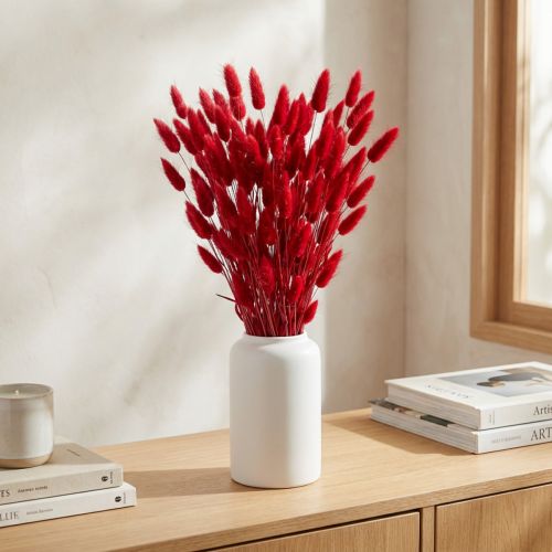 Suszona trawa z ogonka królika (Lagurus) czerwona 60 cm 50 g Suszona dekoracja kwiatowa | Floristik24.pl